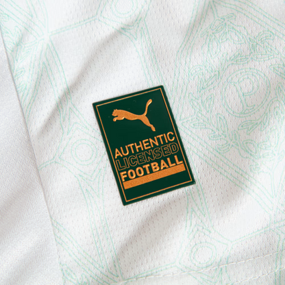 Camisa Puma Palmeiras 2025/26 II Jogador